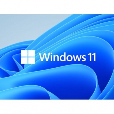 Microsoft Windows Global - Microsoft Win 11 Home 